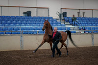 2019 Morgan Horse Show - Aug 31, 2019 - 00546