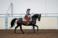 2020 - AB Morgan Horse - Fri, Sept 04 - 00416