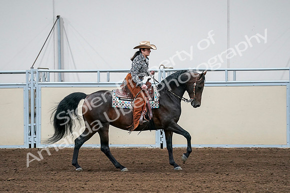 2020 - AB Morgan Horse - Fri, Sept 04 - 00416