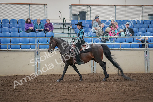 2019 Morgan Horse Show - Aug 30, 2019 - 26085