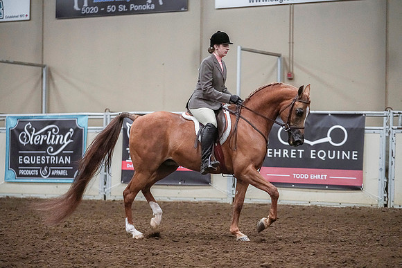 Spring Fling - Saturday - April 20, 2019  -  04643