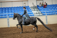 2020 - AB Morgan Horse - Sat, Sept 05 - 13589