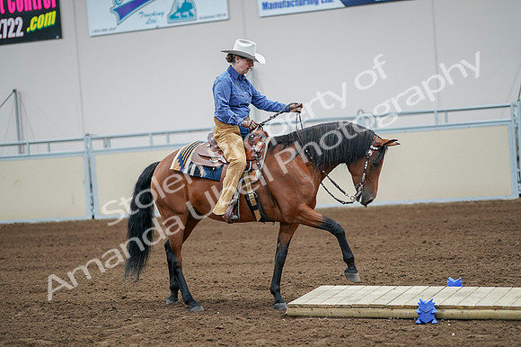 2020 - AB Morgan Horse - Fri, Sept 04 - 00009