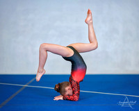 Fort Sask Gymnastics 2019 - Feb 17, 2019 - logo - 02709