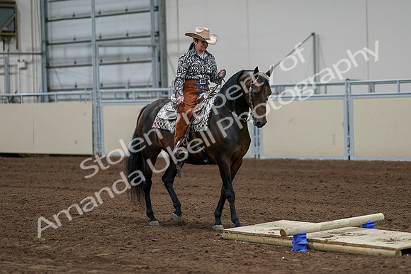 2020 - AB Morgan Horse - Fri, Sept 04 - 00306