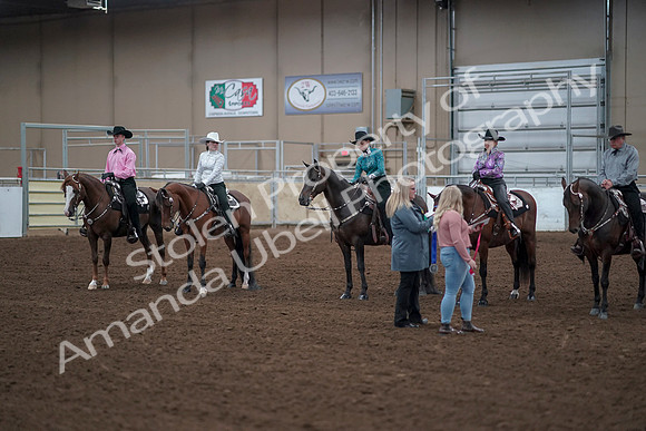 2019 Morgan Horse Show - Sept 01, 2019 - 07236