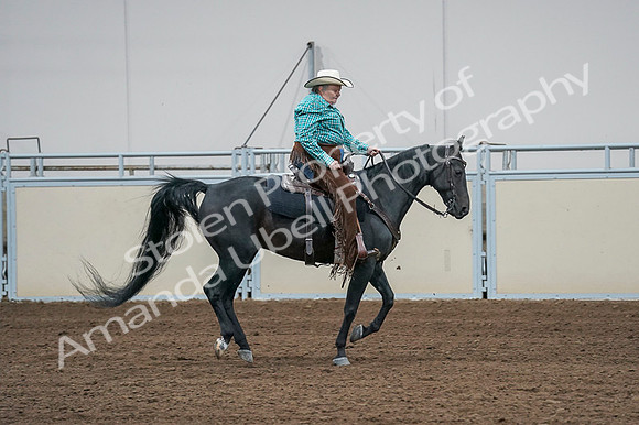 2020 - AB Morgan Horse - Fri, Sept 04 - 00606
