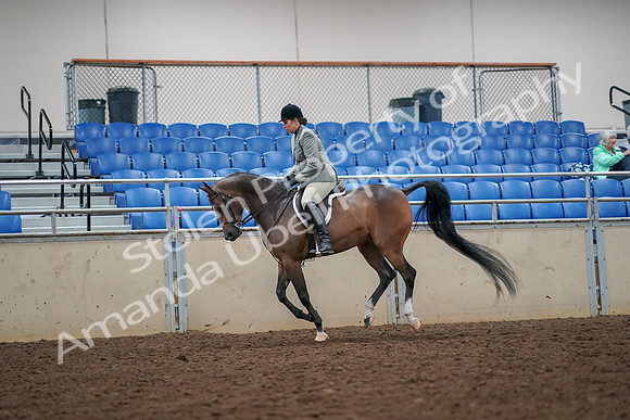 2019 Morgan Horse Show - Aug 30, 2019 - 17464