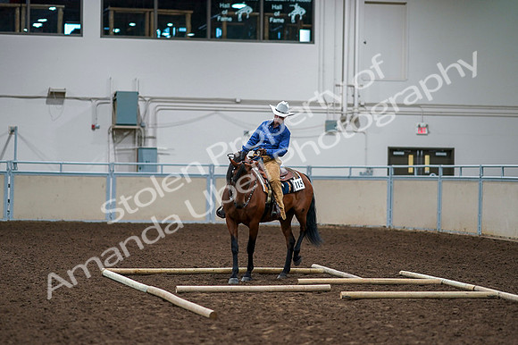 2020 - AB Morgan Horse - Fri, Sept 04 - 00268