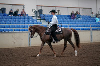 2019 Morgan Horse Show - Aug 31, 2019 - 14103