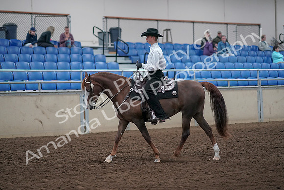 2019 Morgan Horse Show - Aug 31, 2019 - 14103