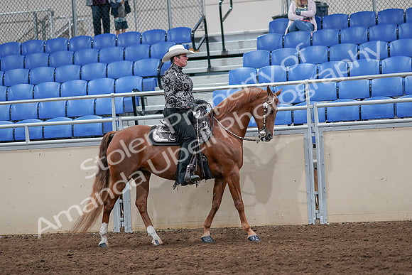 2020 - AB Morgan Horse - Sun, Sept 06 - 07550