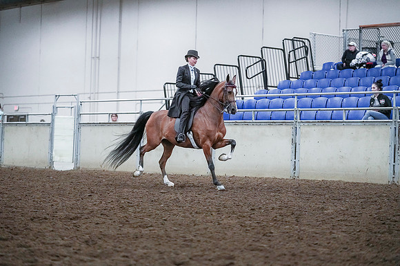 Spring Fling - Saturday - April 20, 2019  -  00801