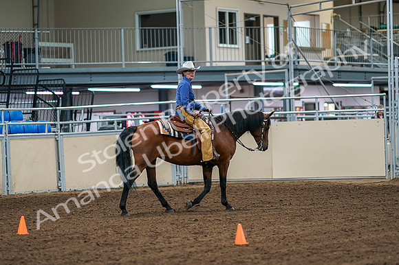 2020 - AB Morgan Horse - Fri, Sept 04 - 00297