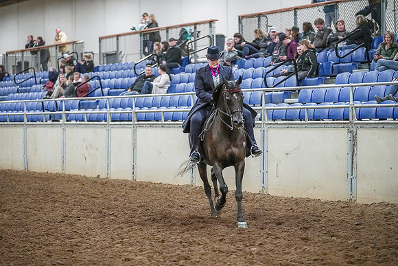 Spring Fling - Saturday - April 20, 2019  -  04473