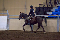 Class 149 - All Breeds Hunter Pleasure, Open