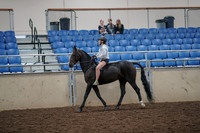 2019 Morgan Horse Show - Aug 30, 2019 - 31032