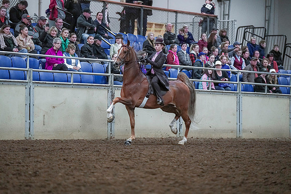 Spring Fling - Saturday - April 20, 2019  -  00467