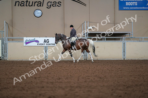 2019 Morgan Horse Show - Aug 30, 2019 - 16161