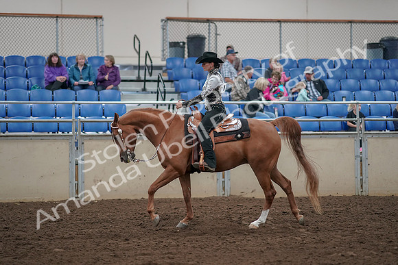 2019 Morgan Horse Show - Aug 30, 2019 - 26108