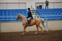 2019 Morgan Horse Show - Aug 30, 2019 - 22180