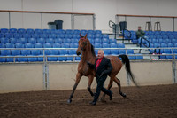 2019 Morgan Horse Show - Aug 31, 2019 - 00547