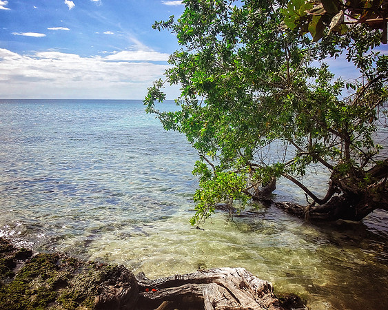 Jamaica - 066