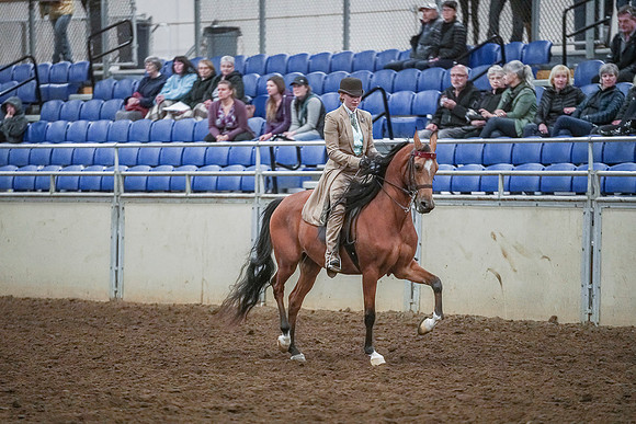 Spring Fling - Saturday - April 20, 2019  -  03943