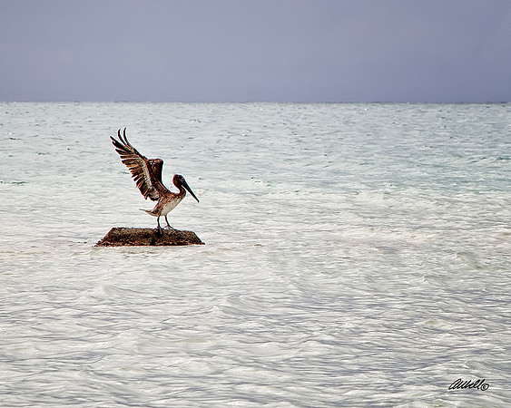 Jamaica - 021
