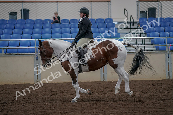 2019 Morgan Horse Show - Aug 30, 2019 - 14956