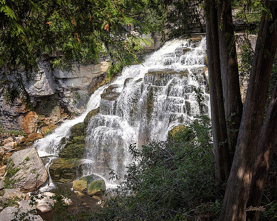 July 04 2015 - 4338