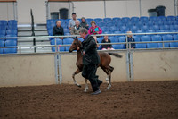 2019 Morgan Horse Show - Aug 30, 2019 - 24661
