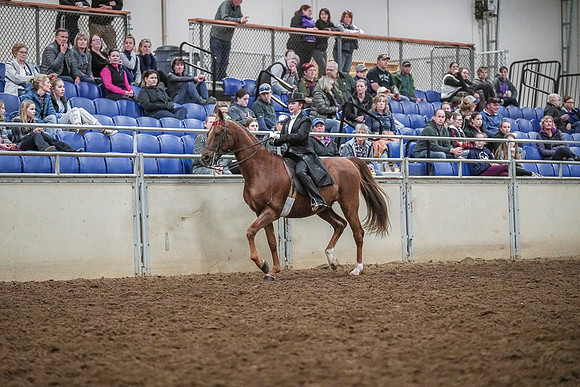Spring Fling - Saturday - April 20, 2019  -  04307