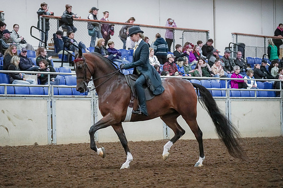 Spring Fling - Saturday - April 20, 2019  -  00633