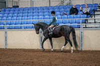 2020 - AB Morgan Horse - Fri, Sept 04 - 07740