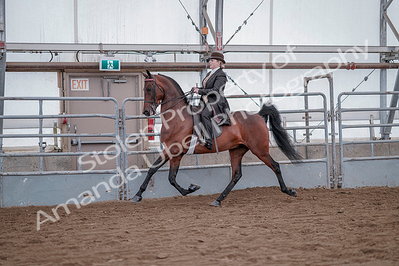 July 20, 2019 - 13798