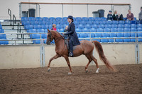 2019 Morgan Horse Show - Aug 31, 2019 - 16908