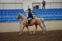 2019 Morgan Horse Show - Aug 30, 2019 - 22178