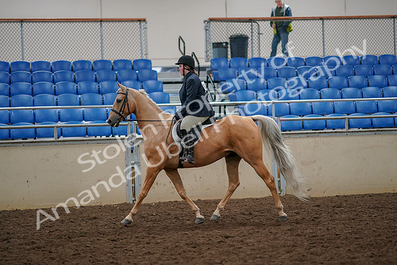 2019 Morgan Horse Show - Aug 30, 2019 - 22178