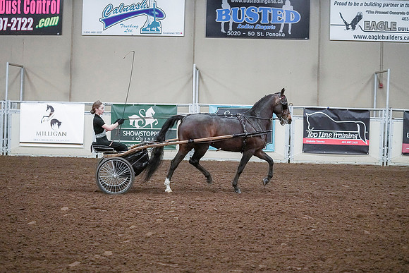 Spring Fling - Saturday - April 20, 2019  -  00327