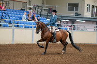 2020 - AB Morgan Horse - Fri, Sept 04 - 03956