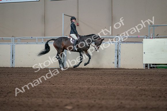 2019 Morgan Horse Show - Sept 01, 2019 - 03903