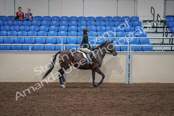 2020 - AB Morgan Horse - Sat, Sept 05 - 05135