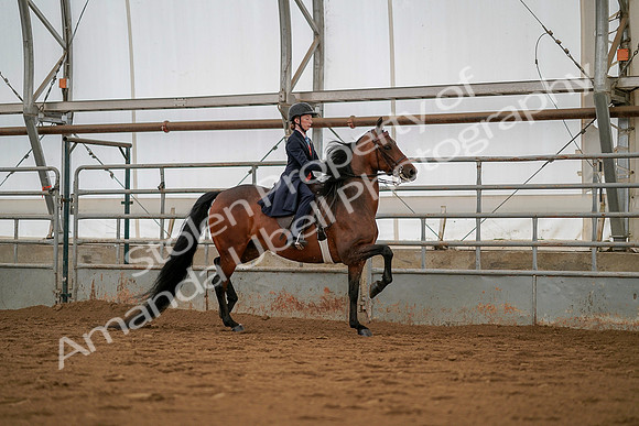July 19, 2019 - 4015