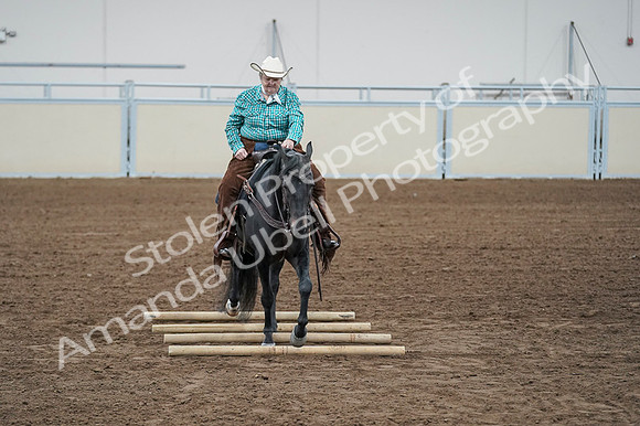 2020 - AB Morgan Horse - Fri, Sept 04 - 00640