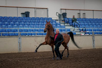 2019 Morgan Horse Show - Aug 31, 2019 - 00545