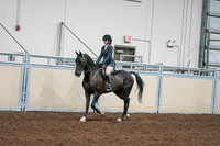 2020 - AB Morgan Horse - Sat, Sept 05 - 09055