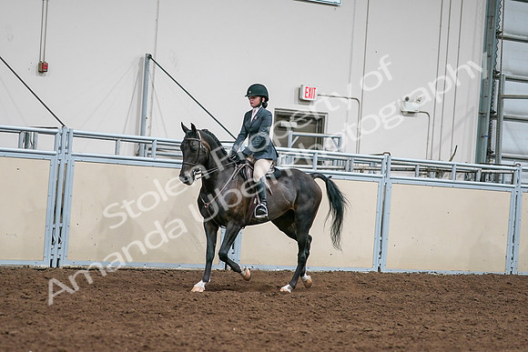 2020 - AB Morgan Horse - Sat, Sept 05 - 09055