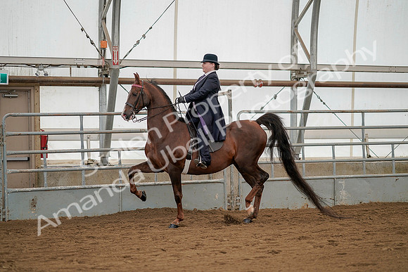 July 20, 2019 - 02233