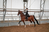 Class 024 - Saddle Seat Equitation - 14 to 17 Years old